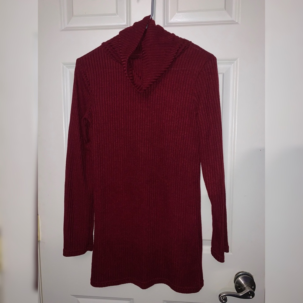 Longlseeve Turtleneck Dress